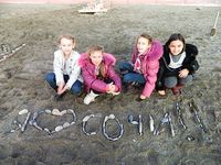 Art-kmv-sochi- 7