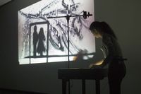 Y17
